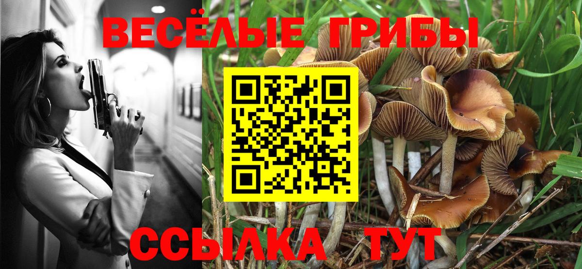 где можно купить наркотик  Псилоцибиновые грибы GOLDEN TEACHER  Вход с VPN  Ефремов 